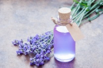 stock-photo-69331457-aromatherapy-oil-and-lavender